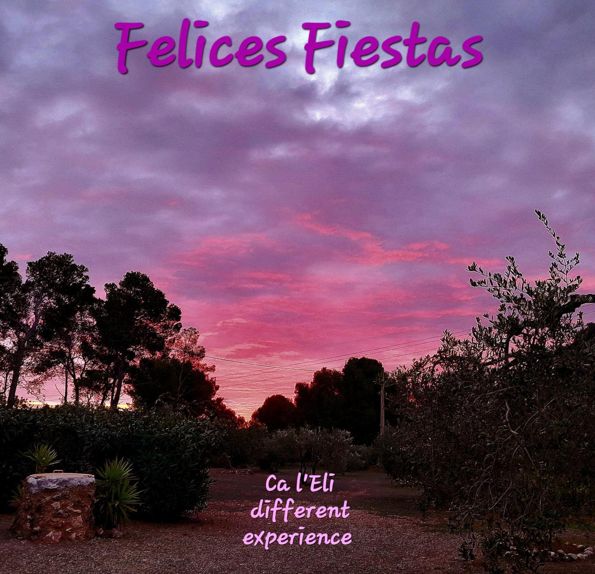 Ca L'Eli Different Experience Hutt 12157 Pension Mont-roig del Camp Buitenkant foto