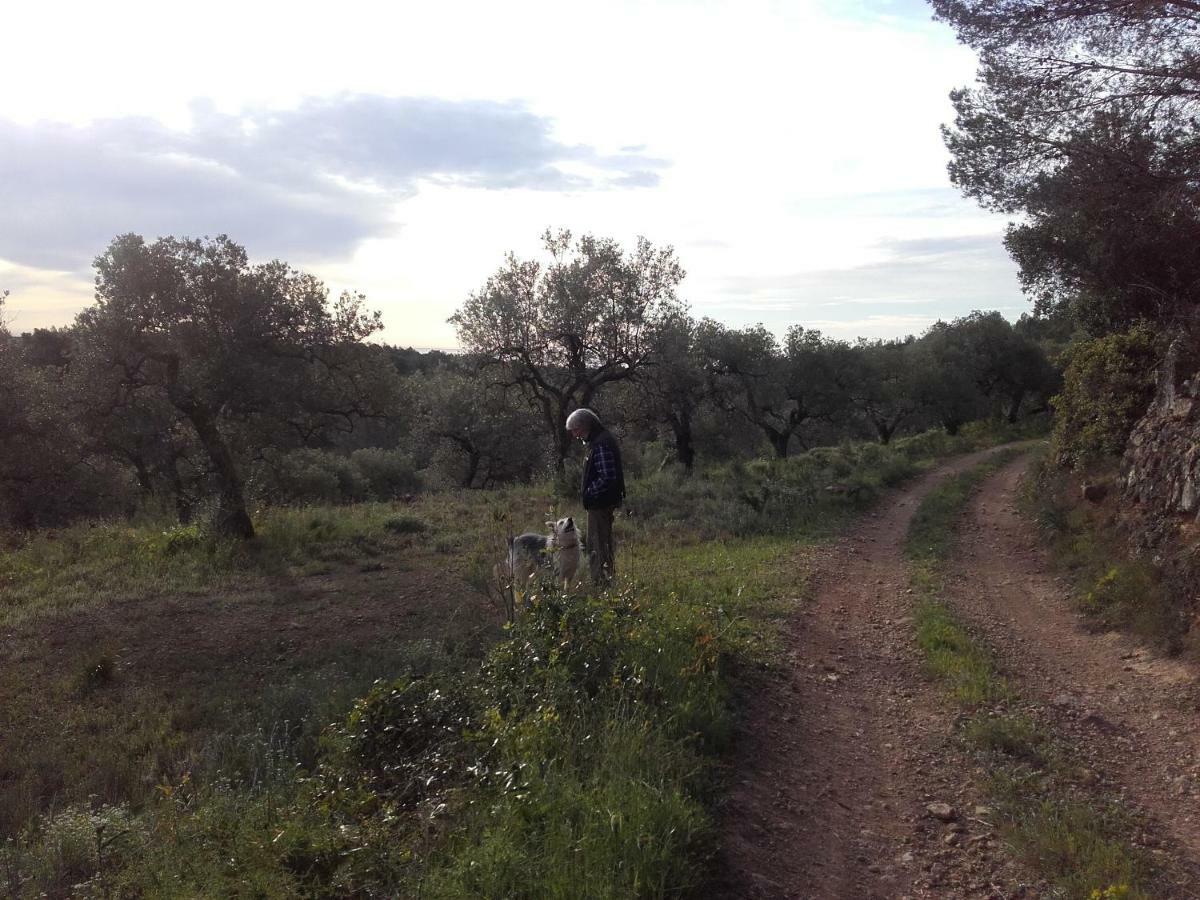 Ca L'Eli Different Experience Hutt 12157 Pension Mont-roig del Camp Buitenkant foto