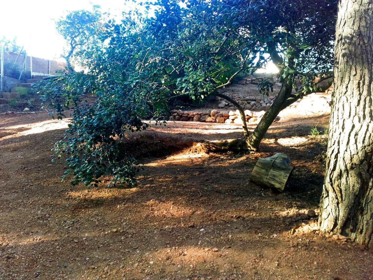 Ca L'Eli Different Experience Hutt 12157 Pension Mont-roig del Camp Buitenkant foto