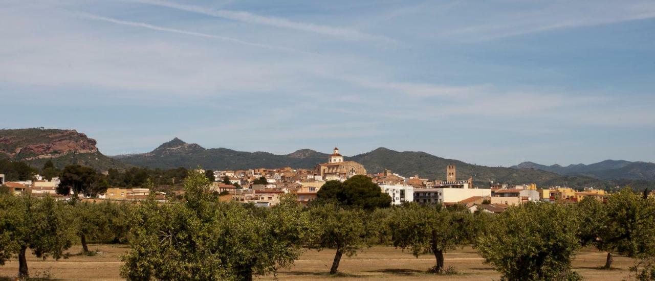 Ca L'Eli Different Experience Hutt 12157 Pension Mont-roig del Camp Buitenkant foto
